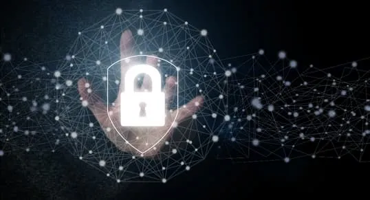 Un enfoque integral de seguridad